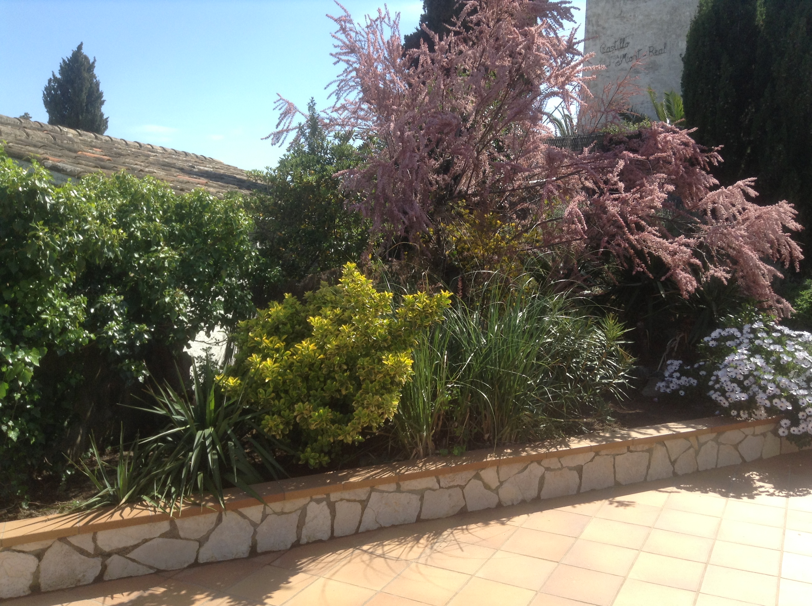 Garden – 2 bedroom villa
